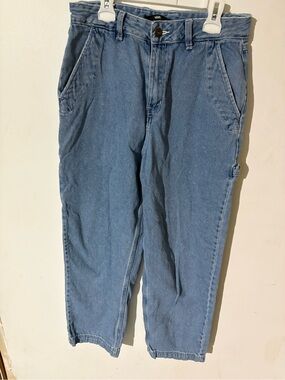 Vans Light Blue Carpenter Denim Jeans